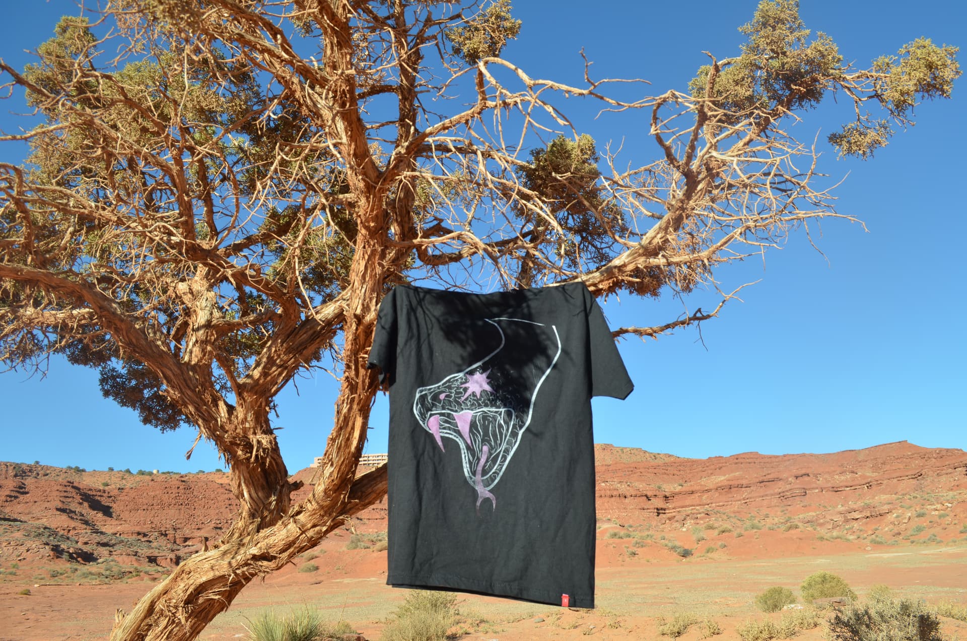 Monument Valley, USA — 01